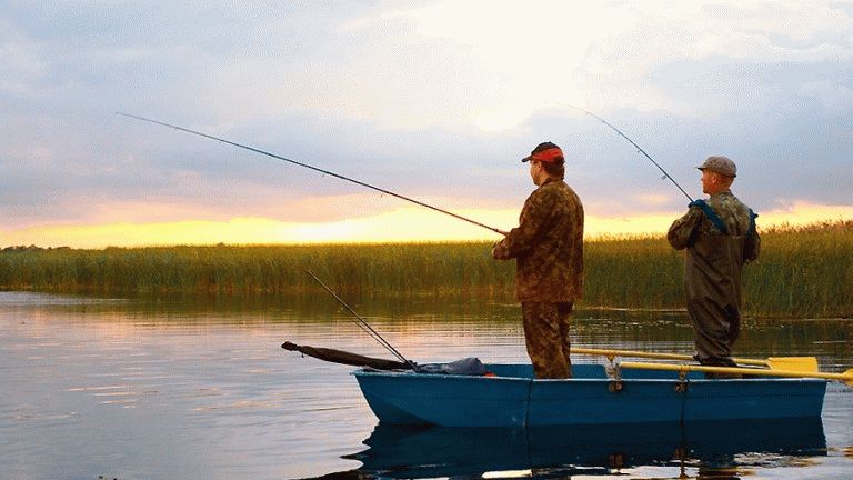 ¿Por qué soñar con pescar peces para un hombre?