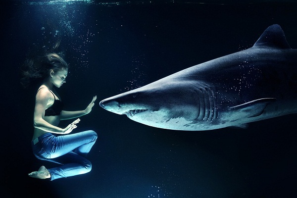 ¿Por qué una niña sueña con un tiburón en el agua?