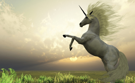 ¿Cuál es el sueño de un unicornio blanco?